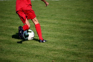 爱游戏体育在线-法甲营养恢复系统提升球员赛季稳定性调查