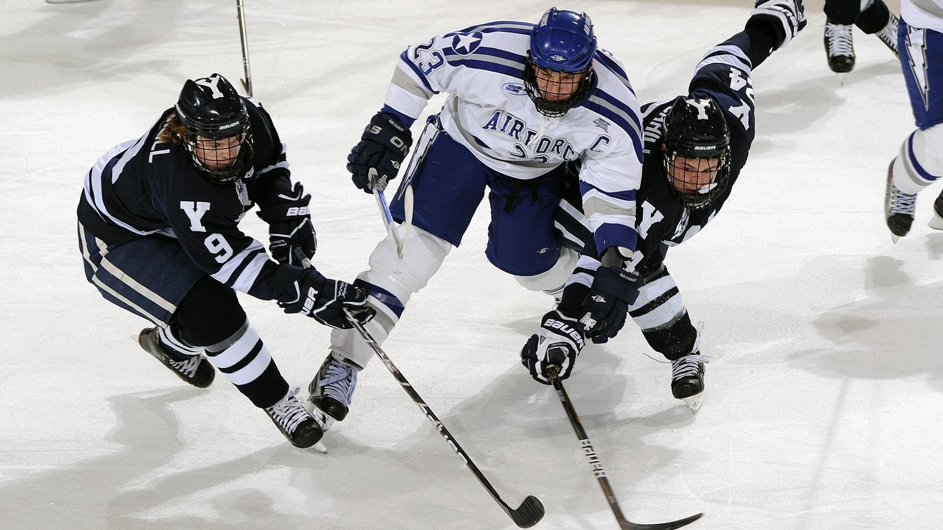 高校体育教学质量保障体系建设,高校体育教学改革