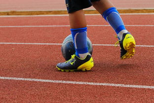 爱游戏app下载-乒乓德甲俱乐部商业破局的挑战与机遇，德国乒乓球联赛收入